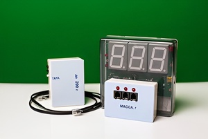 Датчик массы 200 г с независимой индикацией (весы с USB-переходником) - fgospostavki.ru - Иркутск