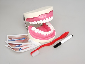 Игровой комплект "Чистим зубы" - fgospostavki.ru - Иркутск