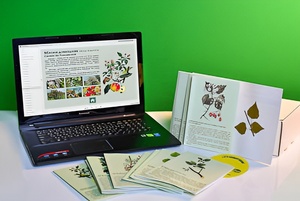 Гербарий натурально-интерактивный "Деревья и кустарники" - fgospostavki.ru - Иркутск