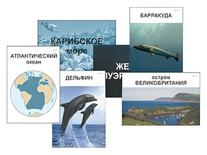 Модель-аппликация "Океаны. Знакомство" (ламинированная) - fgospostavki.ru - Иркутск