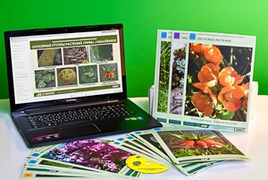 Гербарий натурально-интерактивный "Основные группы растений. Грибы. Лишайники" - fgospostavki.ru - Иркутск