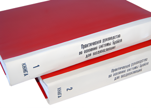 Практическое руководство по освоению системы Брайля для поздноослепших в 2-х книгах - fgospostavki.ru - Иркутск