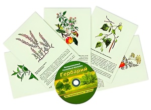 Интерактивный наглядный комплекс "Гербарий "Для начальной школы" - fgospostavki.ru - Иркутск