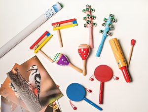 Комплект шумовых музыкальных инструментов - fgospostavki.ru - Иркутск