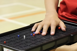 Сетка для игры тактильная (Бочча) - fgospostavki.ru - Иркутск