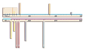 Модель-аппликация "Расстояния во Вселенной" - fgospostavki.ru - Иркутск
