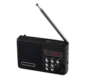 Радиоприемник цифровой с крупными кнопками - fgospostavki.ru - Иркутск