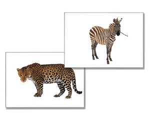 Дидактическое пособие "Дикие животные" - fgospostavki.ru - Иркутск