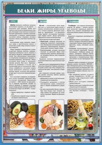 Стенд "Белки. Жиры. Углеводы" - fgospostavki.ru - Иркутск