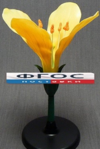 Модель "Цветок капусты" - fgospostavki.ru - Иркутск