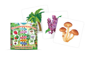 Набор карточек "Ботанический сад" - fgospostavki.ru - Иркутск