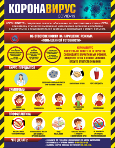 Плакат "Коронавирус" (вариант 1) - fgospostavki.ru - Иркутск