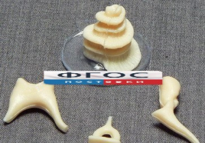 Модель "Косточки слуховые" - fgospostavki.ru - Иркутск