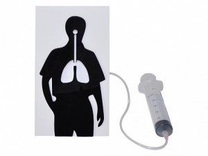 Демонстрационная модель "Эффект курения" - fgospostavki.ru - Иркутск