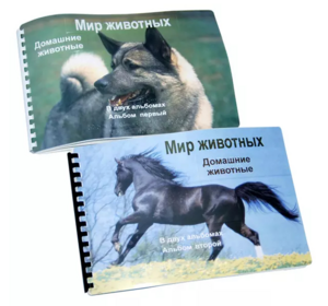 Пособие для слабовидящих - Домашние животные - fgospostavki.ru - Иркутск