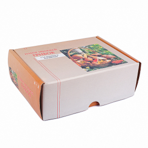 Набор муляжей грибов съедобных и ядовитых - fgospostavki.ru - Иркутск