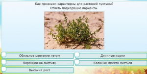 Интерактивные курсы. Окружающий мир 3 класс . Базовый. - fgospostavki.ru - Иркутск