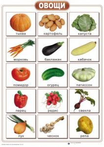 Таблицы "Окружающий мир" (формат А2, ламинированные, 10 таблиц) - fgospostavki.ru - Иркутск