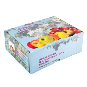 Набор муляжей "Дикая форма и культурные сорта яблок" - fgospostavki.ru - Иркутск