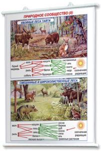 Плакаты по географии России для оформления кабинета. - fgospostavki.ru - Иркутск