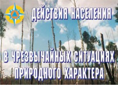 Комплект плакатов "Действия населения в ЧС природного характера" - fgospostavki.ru - Иркутск