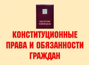 Комплект плакатов "Конституционные права и обязанности граждан" - fgospostavki.ru - Иркутск