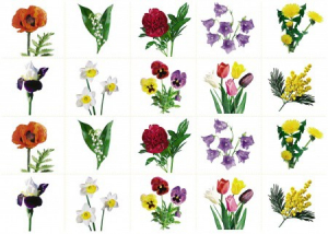 Комплект карточек "Запоминай, играй, считай" - Цветы - fgospostavki.ru - Иркутск