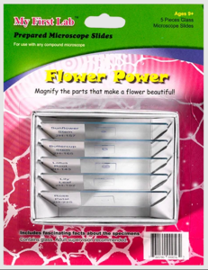 Набор микропрепаратов для микроскопа №6 «Цветы» - fgospostavki.ru - Иркутск