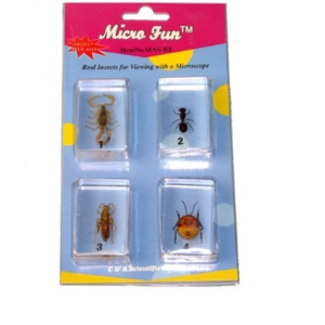 Набор микропрепаратов для стереомикроскопа №14 «Насекомые» - fgospostavki.ru - Иркутск