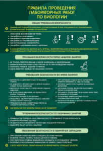 Стенд "Правила выполнения лабораторных работ по биологии" Вариант 1 - fgospostavki.ru - Иркутск