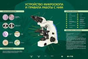 Электрифицированный стенд "Устройство микроскопа и правила работы c ним" - fgospostavki.ru - Иркутск