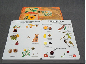 Коллекция "Семена и плоды" - fgospostavki.ru - Иркутск