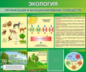 Стенд "Экология. Организация и функционирование сообществ" - fgospostavki.ru - Иркутск