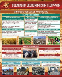 Стенд "Социально-экономическая география. Сельское хозяйство" - fgospostavki.ru - Иркутск