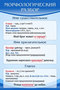 Стенд "Морфологический разбор" - fgospostavki.ru - Иркутск