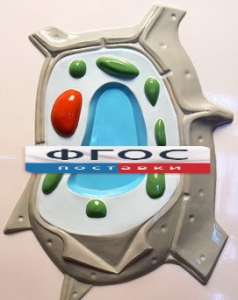 Модель барельефная "Растительная клетка" - fgospostavki.ru - Иркутск