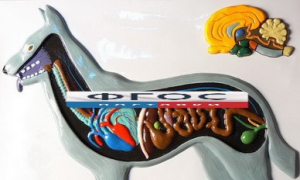 Модель барельефная "Внутреннее строение собаки" - fgospostavki.ru - Иркутск