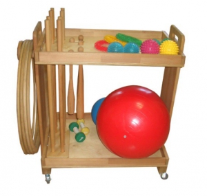 Тележка с гимнастическими снарядами (взрослая комплектация) - fgospostavki.ru - Иркутск