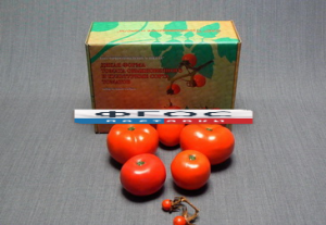 Набор муляжей "Дикая форма и культурные сорта томатов" - fgospostavki.ru - Иркутск