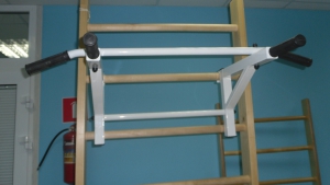 Тренажер турник-брусья навесной на шведскую стенку 1000х600х300 мм - fgospostavki.ru - Иркутск