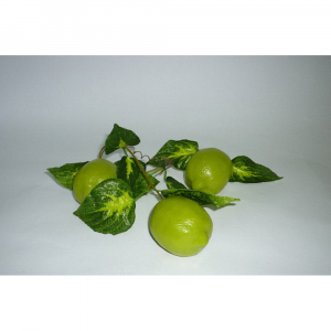 Ветка муляжей "Лайм" - fgospostavki.ru - Иркутск