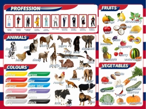 Стенд "Цвета, животные, профессии, фрукты, овощи" - fgospostavki.ru - Иркутск