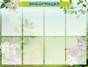 Стенд "Информация" Вариант 13 - fgospostavki.ru - Иркутск