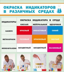 Стенд "Окраска индикаторов в различных средах" - fgospostavki.ru - Иркутск