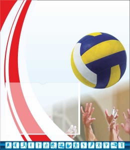 Стенд "Спортивный (волейбол)" - fgospostavki.ru - Иркутск