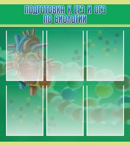 Стенд "Подготовка к ЕГЭ и ОГЭ по биологии" Вариант 1 - fgospostavki.ru - Иркутск