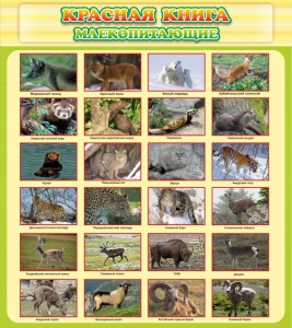 Стенд "Красная книга - млекопитающие" - fgospostavki.ru - Иркутск