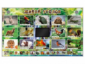 Комплект оборудования "Живой уголок" (животные) - fgospostavki.ru - Иркутск