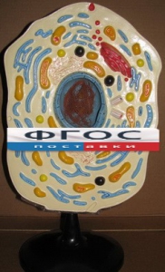 Модель "Клетка животного" - fgospostavki.ru - Иркутск