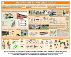 Комплект плакатов "Кинология" - fgospostavki.ru - Иркутск